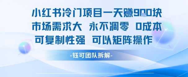 小紅書冷門項目一天收益9張，市場需求大，0成本，可復制性強可以矩陣操作