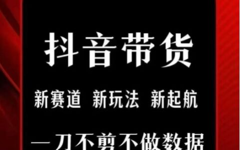 抖音短視頻一刀不剪帶貨，不剪輯，不直播，每天發個視頻，等著出單獲取帶貨傭金