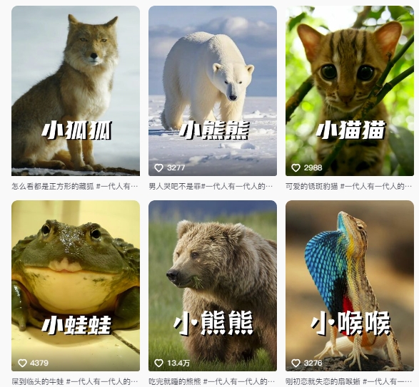 最新搞笑動(dòng)物百科詳細(xì)解說課程,藍(lán)海賽道,流量非常大,輕松簽獨(dú)家進(jìn)精選