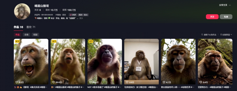 最新爆火的峨眉山猴子短視頻制作教程,條條點贊10w+,誰做誰火【教程+提示詞】