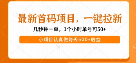 最新首碼項目，操作最簡單，收益高，一鍵拉新，1個小時單號可50+，小項目認真做每天5張+收益【揭秘】