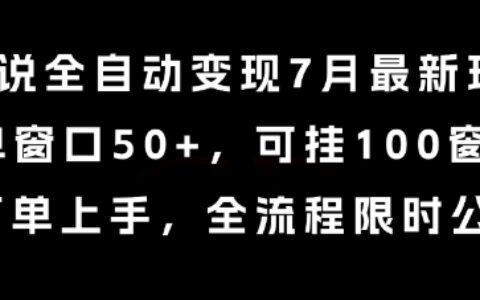 小說全自動變現7月玩法，單窗口50+，可掛100窗口，簡單上手，全流程限時公布【揭秘】