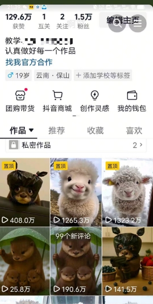 抖音65W博主AI萌寵課程,新賽道流量大,原創(chuàng)+二創(chuàng),全套課程+提示詞