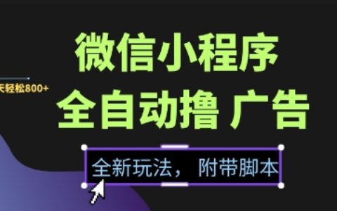 微信小程序全自動擼廣告項目，徹底解決沒流量的問題，新手一天8張+【揭秘】