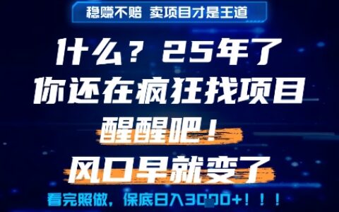 什么？25年你還在瘋狂找項(xiàng)目做，醒醒吧，看完這些你全都懂了！【揭秘】