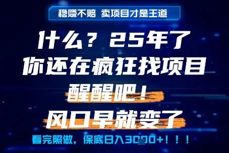 什么？25年你還在瘋狂找項目做，醒醒吧，看完這些你全都懂了！【揭秘】