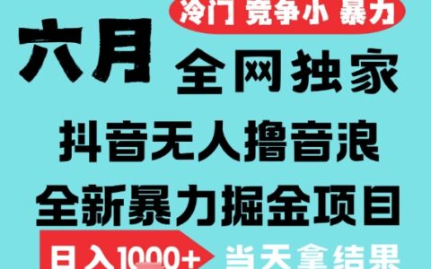 2025年6月高爆抖音無人直播最新擼音浪掘金項目，無腦日入1k+，低門檻小白可做，可矩陣放大【揭秘】