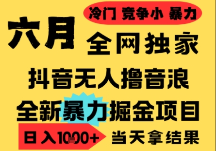 25年6月高爆抖音無人直播最新擼音浪掘金項目，小白可做，無腦日入1k+，門檻低可批量矩陣【揭秘】