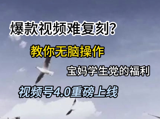 視頻號4.0重磅上線，爆款視頻難復刻？教你無腦操作寶媽學生黨的福利【揭秘】