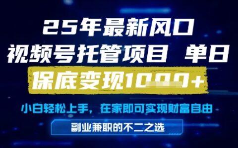 25年最新風口，視頻號托管項目，單日保底變現1k+，手把手教學【揭秘】