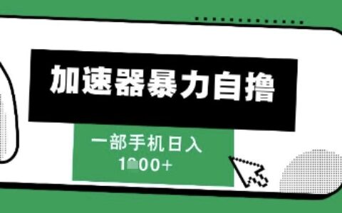 205新風口，加速器暴力自擼，單機日入1k+【揭秘】
