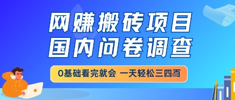 網(wǎng)創(chuàng)搬磚項目，國內(nèi)問卷調(diào)查，小白輕松上手，一天三四張的也不難，干就完了【揭秘】