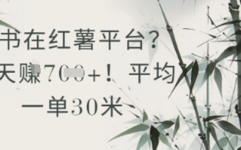 抄書在小紅薯平臺？平均一單30米，一天收益幾張！