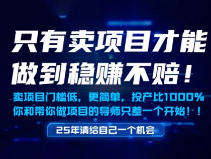 只有賣項目才能做到穩掙不賠，門檻低，更簡單，你也可以年入百個W【揭秘】
