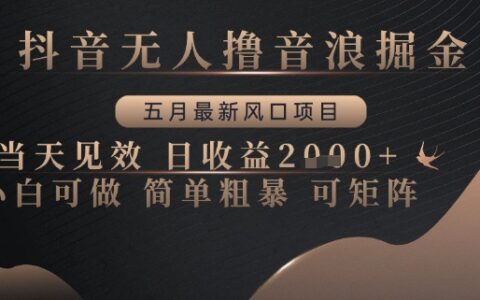 抖音無人擼音浪掘金，五月最新風口項目，當天見效，日收益多張，小白可做簡單粗暴可矩陣【揭秘】