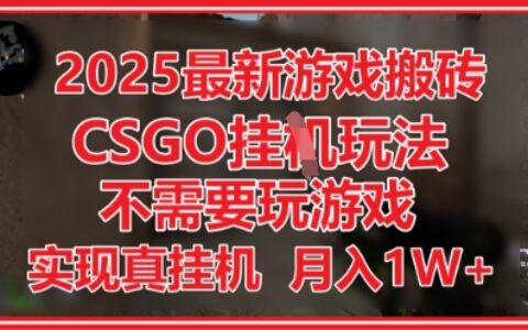 2025最新游戲搬磚，CSGO掛G，不需要玩游戲，實現真掛G，月入1W+【揭秘】