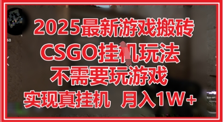2025最新游戲搬磚,CSGO掛G,不需要玩游戲,實(shí)現(xiàn)真掛G,月入1W+【揭秘】
