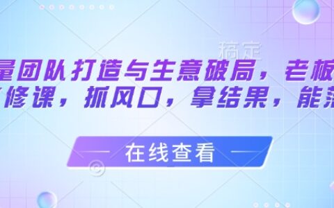 流量團隊打造與生意破局，老板流量必修課，抓風口，拿結果，能落地