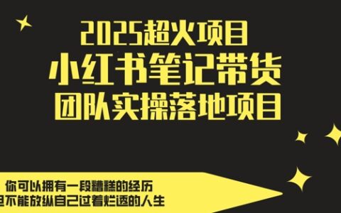 2025超火項目，副業最佳選擇，小紅書筆記帶貨團隊實操落地項目，，輕松日入5張