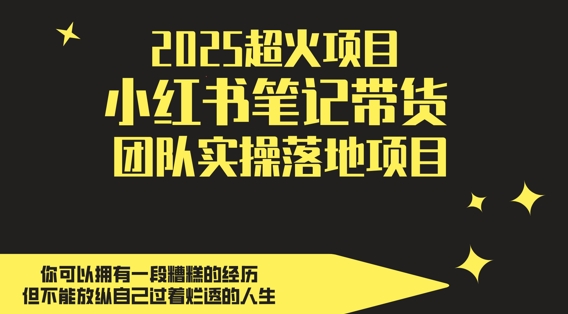 2025超火項目,副業最佳選擇,小紅書筆記帶貨團隊實操落地項目,,輕松日入5張