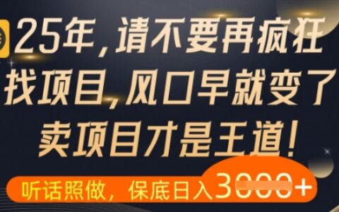 什么？25年你還在瘋狂找項(xiàng)目做，醒醒吧，看完這些你全都懂了【揭秘】