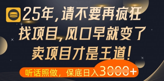 什么？25年你還在瘋狂找項目做，醒醒吧，看完這些你全都懂了【揭秘】