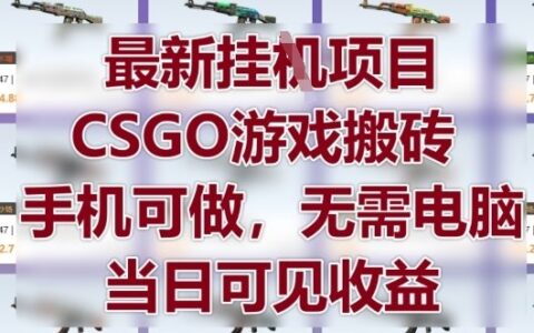 最新掛G項目，CSGO游戲搬磚，手機可做，無需電腦，當日見收益【揭秘】