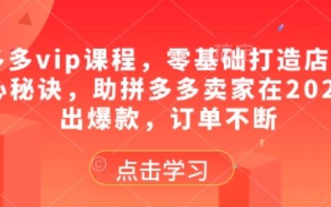 拼多多vip課程，零基礎打造店鋪的核心秘訣，助拼多多賣家在2025賣出爆款，訂單不斷