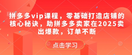 拼多多vip課程,零基礎(chǔ)打造店鋪的核心秘訣,助拼多多賣家在2025賣出爆款,訂單不斷