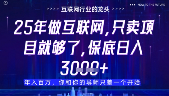 什么！25年你還在找項目做？風口早就變了，賣項目才是穩掙不賠【揭秘】