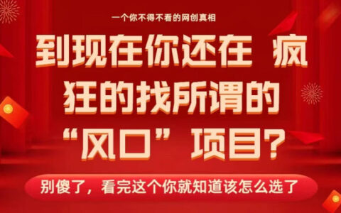 馬上26年了，你還在找所謂的風口項目？別傻了，看完這個你全都懂了！【揭秘】