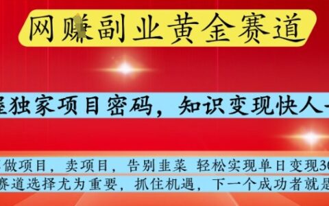 網創副業黃全賽道，掌握獨家項目密碼，知識變現快人一步，告別韭菜輕松實現單日變現1k+【揭秘】