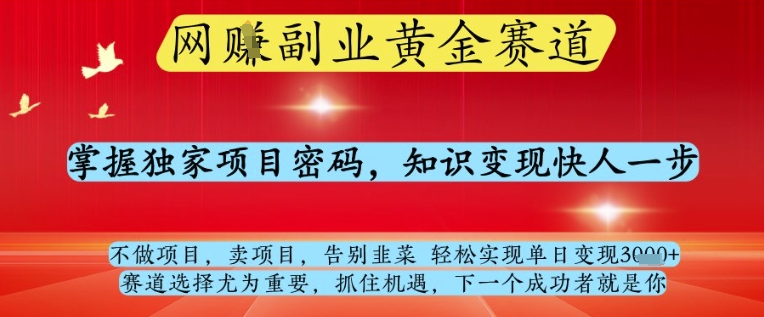 網創副業黃全賽道,掌握獨家項目密碼,知識變現快人一步,告別韭菜輕松實現單日變現1k+【揭秘】