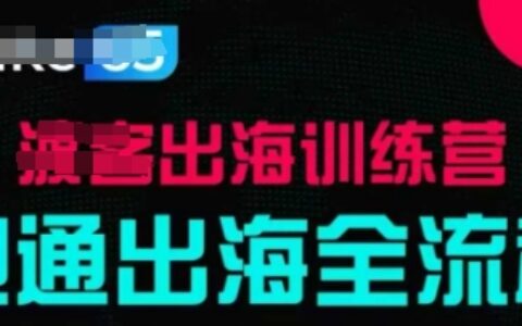 出海訓練營基礎課，?跑通出海全流程，實戰案例拆解