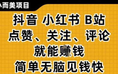 小而美的項目，抖音小紅書B站視頻點贊、關注、評論就能掙錢，簡單無腦立見收益，妥妥的零擼項目【揭秘】