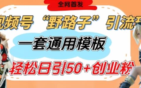 視頻號“野路子”玩法，評論區瘋狂截流，一套模板單日單號引流50+創業粉