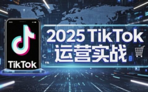 2025TikTok電商運營，掌握TikTok店鋪運營核心技巧，實現低成本高轉化