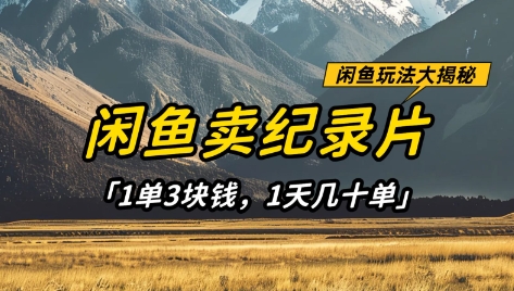 閑魚賣紀錄片1單3塊錢,1天幾十單,項目穩定有潛力