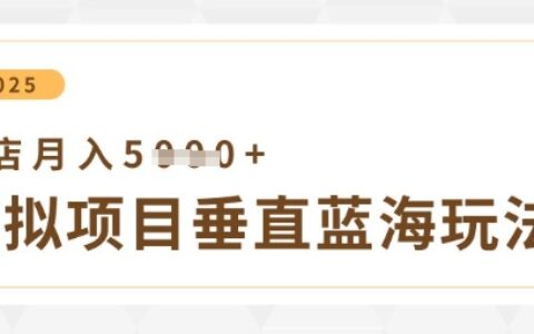 虛擬項目垂直玩法，實現單店月入5k+