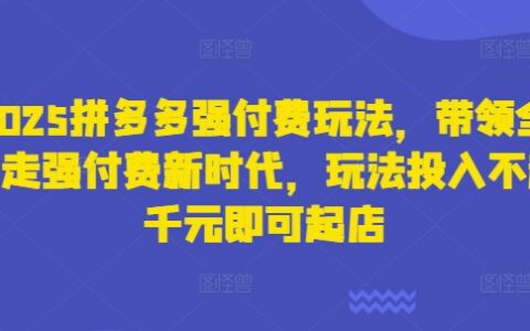 2025拼多多強(qiáng)付費(fèi)玩法，帶領(lǐng)全網(wǎng)走強(qiáng)付費(fèi)新時(shí)代，玩法投入不超千元即可起店