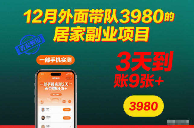 12月外面帶隊3980的居家副業項目,一部手機實測3天到賬9張+,首發教程【揭秘】