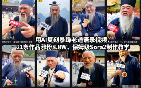 用AI復(fù)刻暴躁老道語錄視頻，21條作品漲粉8.8W，保姆級Sora2制作教學(xué)