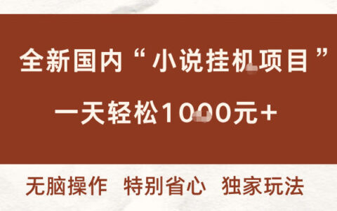 全新國內小說掛G項目，多窗口無腦跑，一天輕松1k+，特別省心【揭秘】